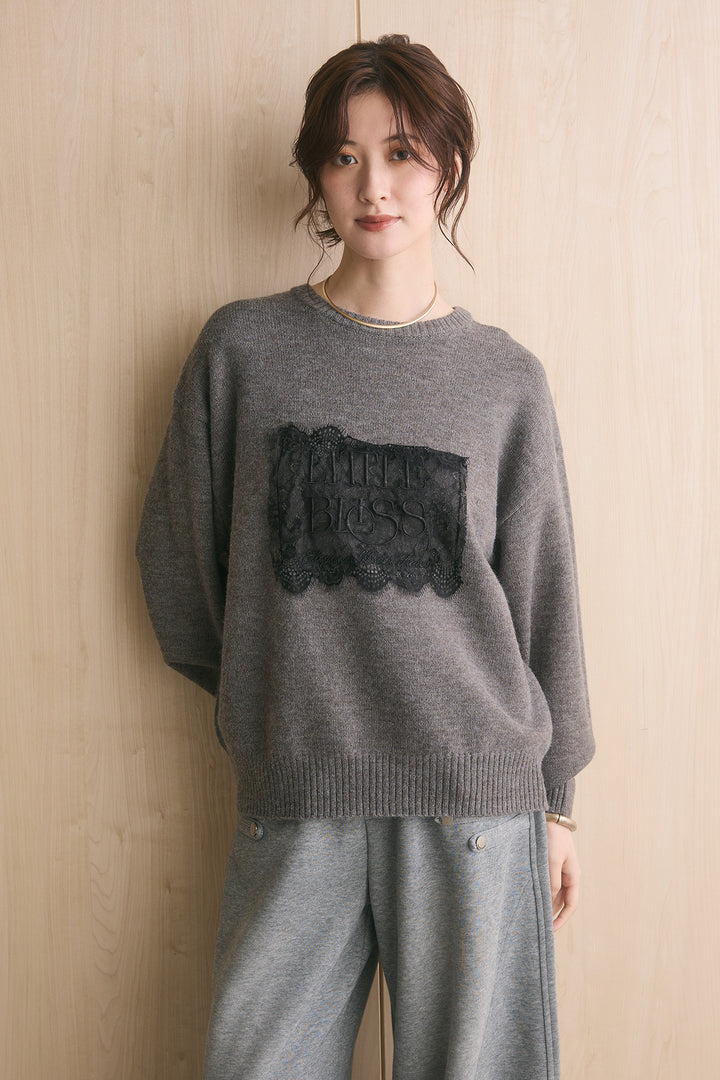 アルパカタッチ刺繍ロゴプルオーバー
