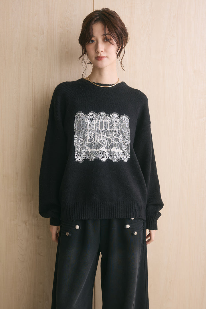 アルパカタッチ刺繍ロゴプルオーバー